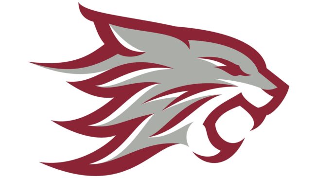 Chico State Wildcats Nouveau Logo