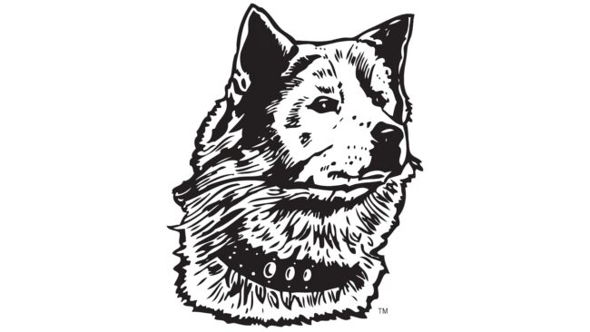 Washington Huskies Logo 1936-1937