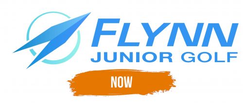 Histoire du logo de Flynn Max