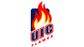 Logo de Illinois-Chicago Flames