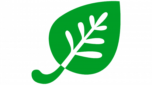 Logo de iHerb Icon