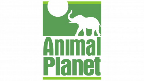 Logo de Animal Planet en 1996