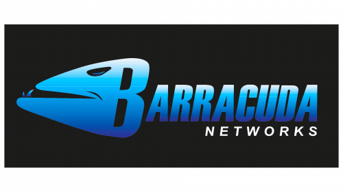 Logo de Barracuda Networks en 2003