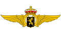Logo de Belgian Air Componen