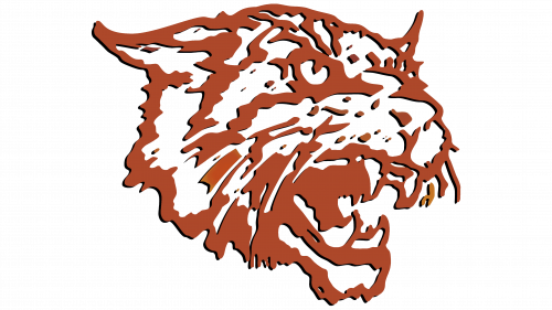 Logo de Bethune Cookman Wildcats 2000-2015