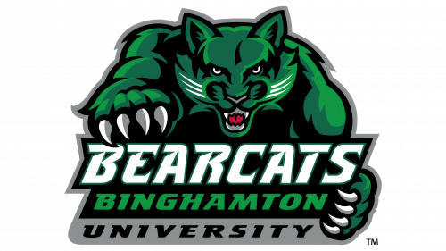 Logo de Binghamton Bearcats en 1999