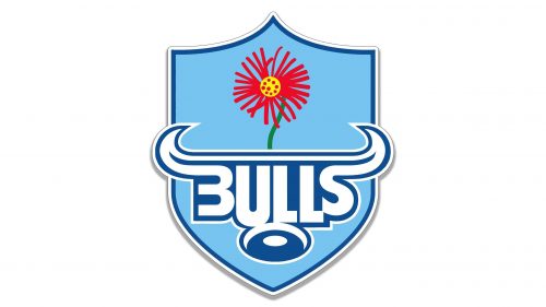 Logo de Bulls