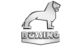 Logo de Büssing