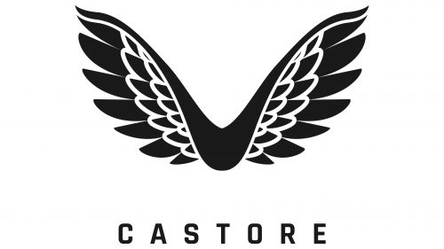 Logo de Castore