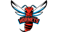Logo de Delaware State Hornets