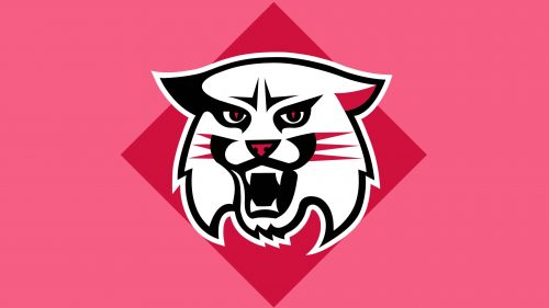 Symbole de Davidson Wildcats