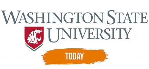 Histoire du logo de WSU