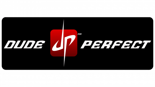 Logo de Dude Perfect en 2011