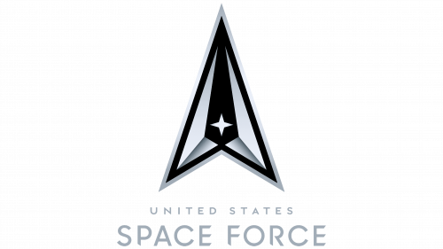 Logo de United States Space Force de juillet depuis 2020