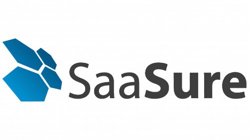 Logo de SaaSure en 2009