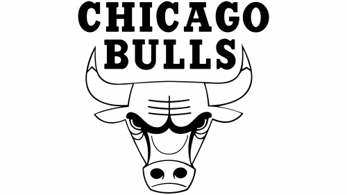 Emblème de Chicago Bulls