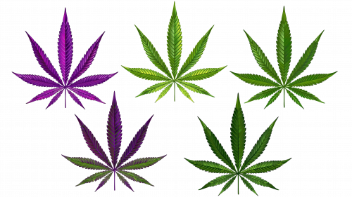 Emoji de weed
