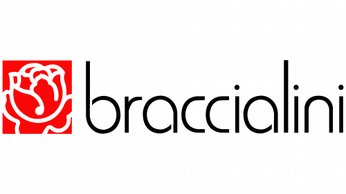Logo de Braccialini