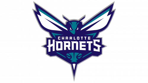 Logo de Charlotte Hornets