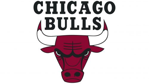 Logo de Chicago Bulls