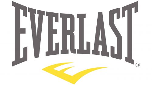 Logo de Everlast depuis 2011