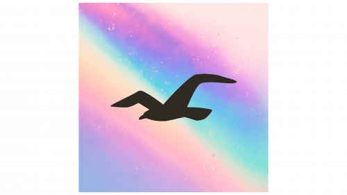 Logo de Hollister
