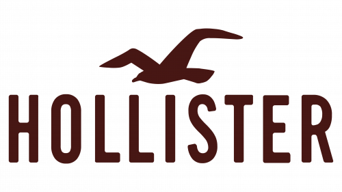 Logo de Hollister