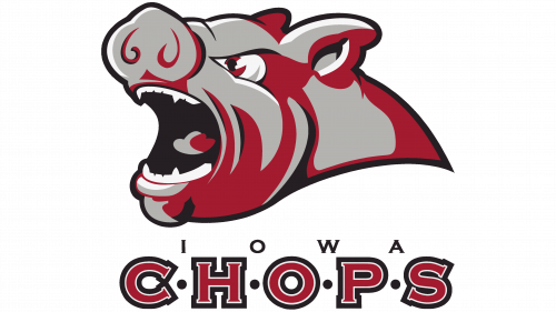 Logo de Iowa Stars en 2008