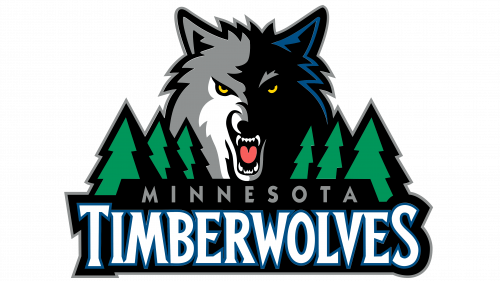 Logo de Minnesota Timberwolves 2009-2017