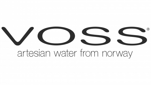 Logo de VOSS