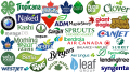 Logos les plus célèbres avec une feuille