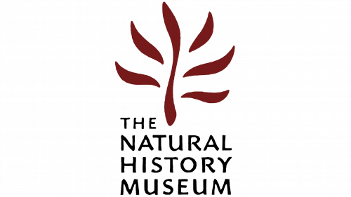 Logo de Natural History Museum avant 2004