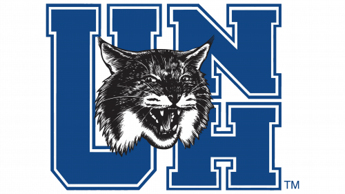 Logo de New Hampshire Wildcats en 1993
