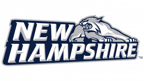 Logo de New Hampshire Wildcats en 2000