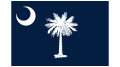Logo de Palmetto Tree
