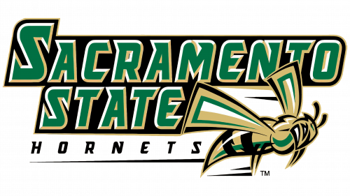 Logo de Sacramento State Hornets 2004-2005