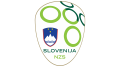Logo de Slovenia National Football Team