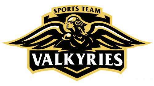 Logo de Valkyrie Spots Team