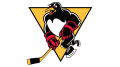 Logo de Wilkes-Barre Scranton Penguins